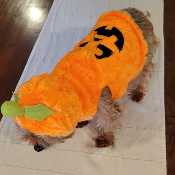 2X Host Pick 🐶🥰🐕 Dog Pumpkin Halloween Costume XS - Picture 8 of 16